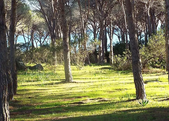 Grandi Famiglie O Comitive 150 Mt Affitti * Budoni